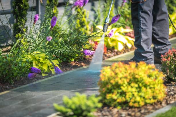 Best Dumpster Area Cleaning  in Orangeburg, SC