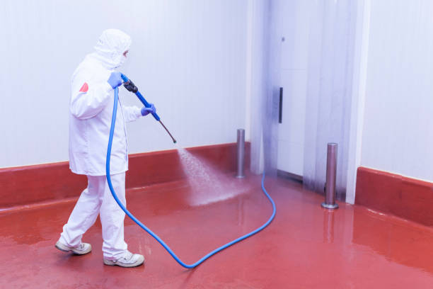 Reliable Orangeburg, SC  Pressure Washing Services Solutions