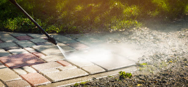Best Sidewalk and Walkway Cleaning  in Orangeburg, SC